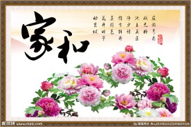 牡丹花