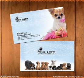 宠物名片