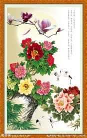 花开富贵