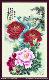 牡丹花