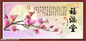 玉兰花