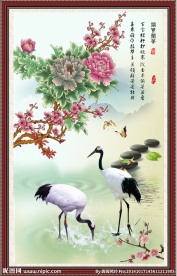 国画花鸟