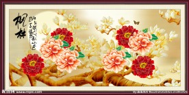 玉兰花