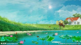 荷塘美景鸳鸯戏水LED