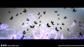 ED系列魅惑蝴蝶素材