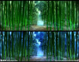 ED系列竹林素材
