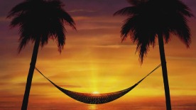 春夏景色花开高清LED