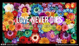 时尚色彩斑斓艺术花朵