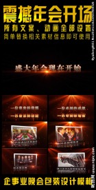 隆重大气年终总结会前