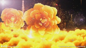 富贵牡丹花舞台演绎