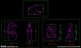 海马海螺尺寸图