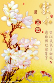 钻石画十字绣家和富贵玉兰鲤鱼