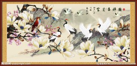 玉兰花