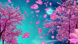 LED背景浪漫樱花花瓣飘落舞蹈