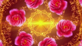 大红喜庆牡丹花舞台背景