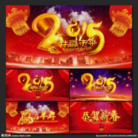 2015年会