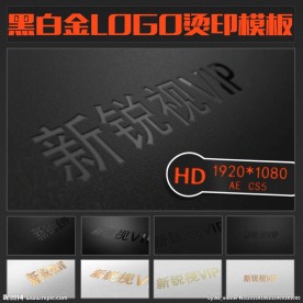 黑白烫印风格LOGO演示