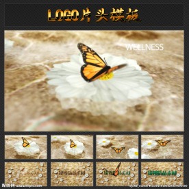 创意蝴蝶飞舞LOGO片头模板