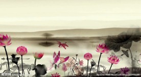 中国风水墨 荷花 竹