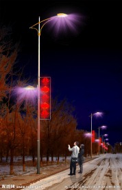 亮化 灯杆 节日亮化