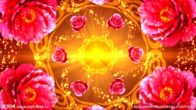 旋转喜庆牡丹花