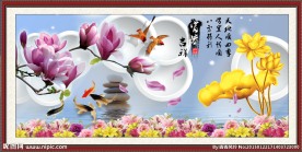 玉兰花