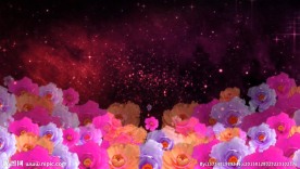 花儿为什么这样红动态视频