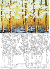 玉兰花  高清图