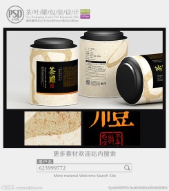 中国风茶叶罐子包装设计展开图
