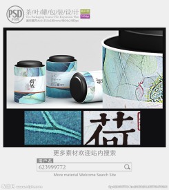 中国风茶罐子包装设计展开图