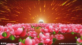 鲜花花海民族歌曲LED高清背景