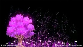 唯美许愿树粒子高端婚礼动态视频