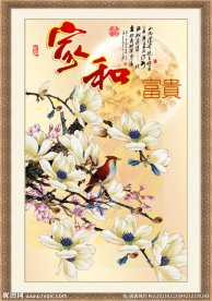 玉兰花