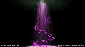 粉色花瓣新郎出场高端婚礼