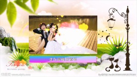绚丽浪漫婚庆视频模板