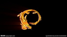 金色龙飞舞抠像素材