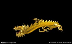 金色龙飞舞抠像通道素材