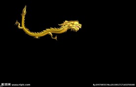 金色龙飞舞抠像通道素材