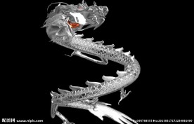 银龙飞舞带透明通道