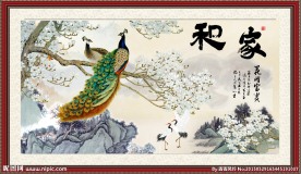 花鸟