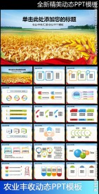 农业种子水稻丰收新农村PPT