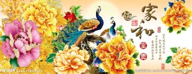 花开富贵