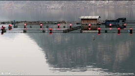 湖面 网箱 高清