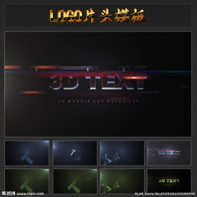 非常有质感的三维金属LOGO