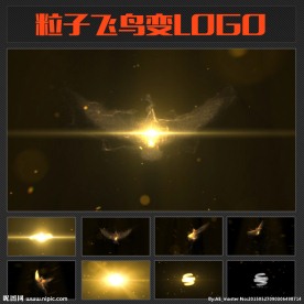 飞鸟粒子闪光出现LOGO