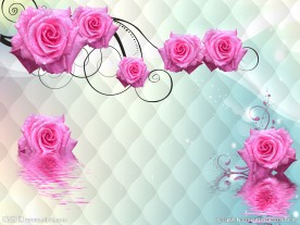 3D倒影玫瑰