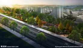 道路绿化