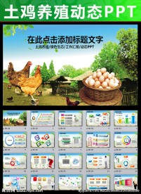 绿色生态鸡养殖ppt动态模板