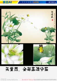 白色莲花（矢量图高清分层）