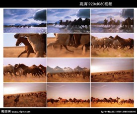 万马奔腾1080p视频
